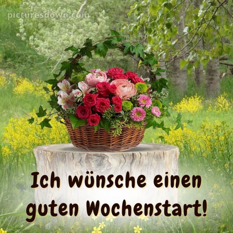 Ich wünsche dir einen schönen wochenstart bild Korb kostenlos