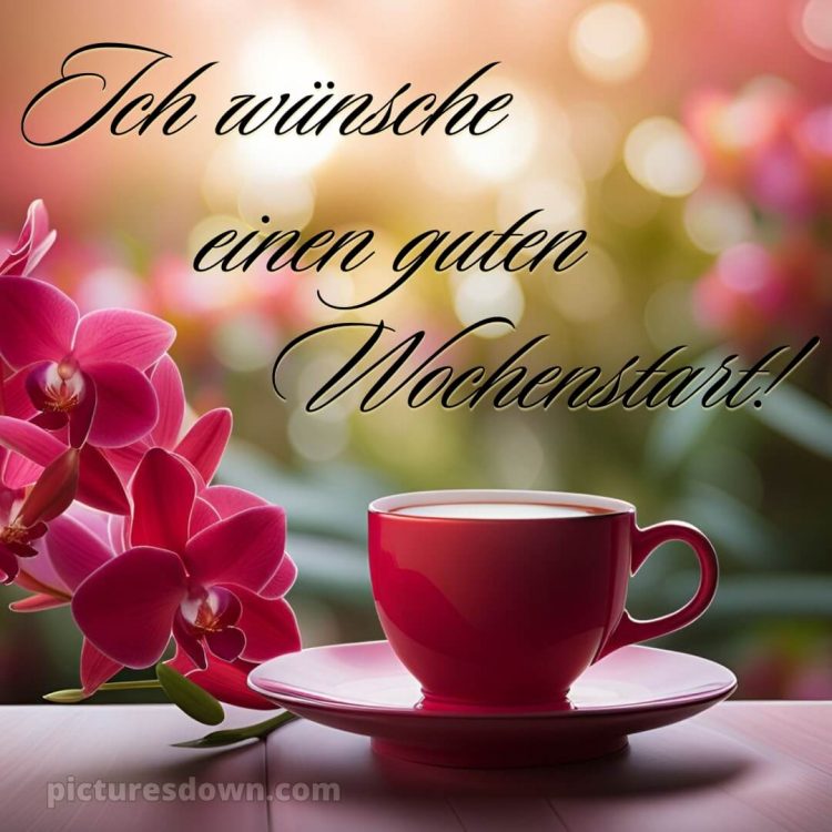 Ich wünsche dir einen schönen wochenstart bild Tasse kostenlos