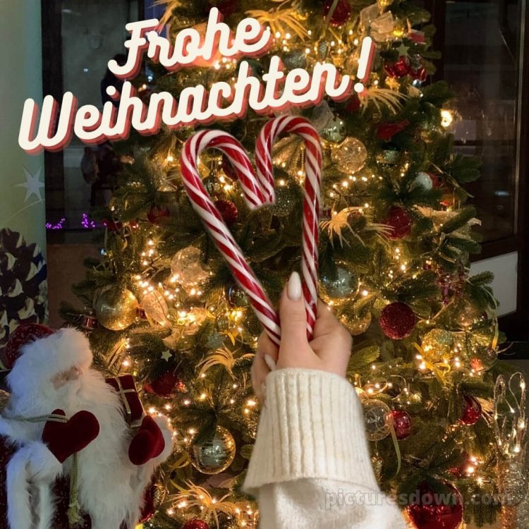 Ich wünsche dir frohe Weihnachten bild Lollipops kostenlos