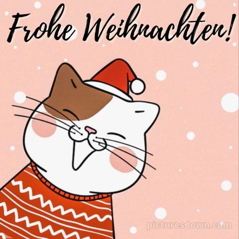 Ich wünsche dir frohe Weihnachten bild lustige Katze kostenlos