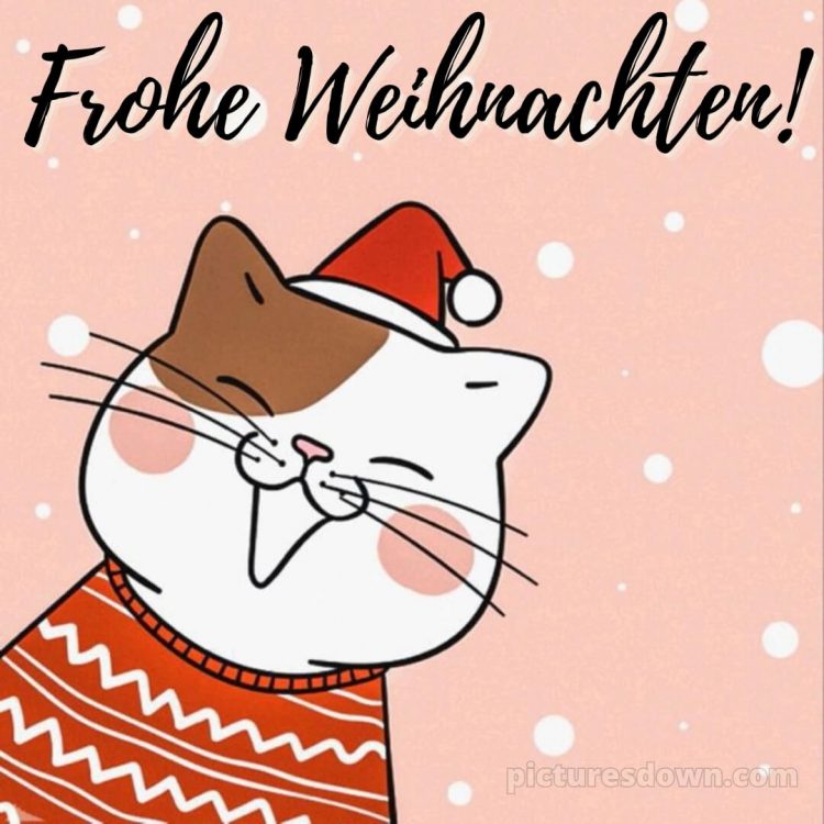 Ich wünsche dir frohe Weihnachten bild lustige Katze kostenlos
