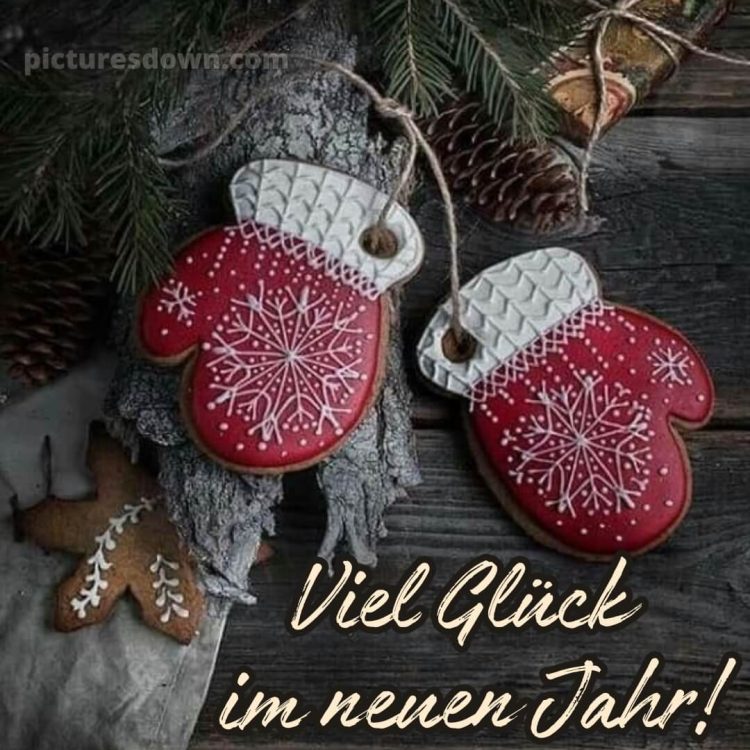 Ich wünsche dir für das neue Jahr bild Handschuhe kostenlos