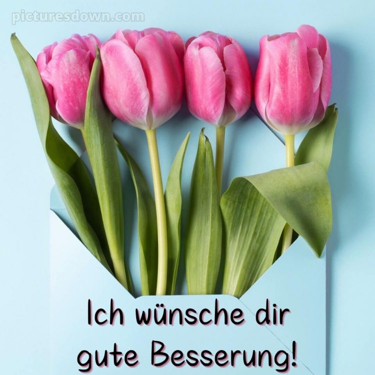 Ich wünsche dir gute besserung bild Tulpen kostenlos