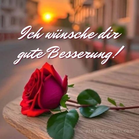 Ich wünsche dir gute besserung bild Rose kostenlos