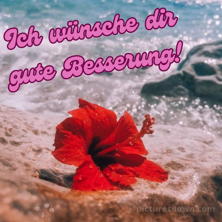 Ich wünsche dir gute besserung bild Sturzwelle kostenlos
