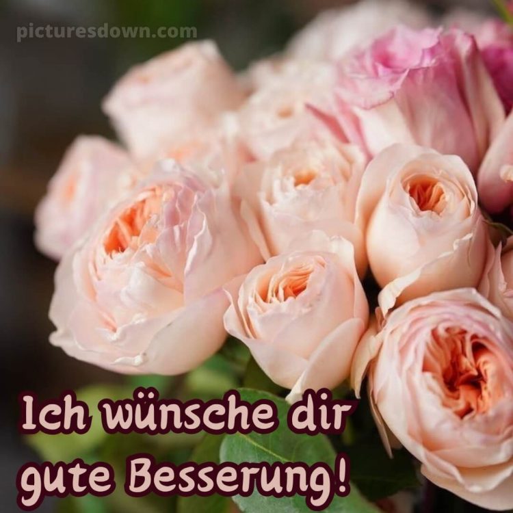 Ich wünsche dir gute besserung bild Blumenstrauß kostenlos
