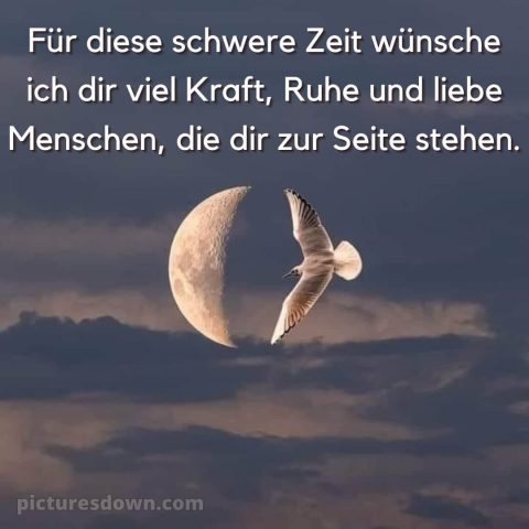 Ich wünsche dir kraft sprüche bild Mond kostenlos
