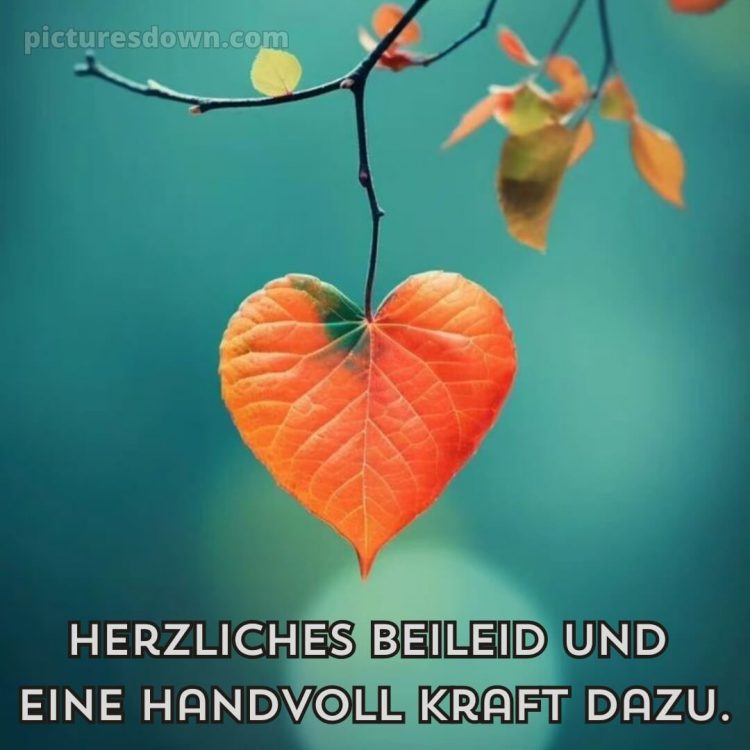 Ich wünsche dir kraft sprüche bild Blatt kostenlos