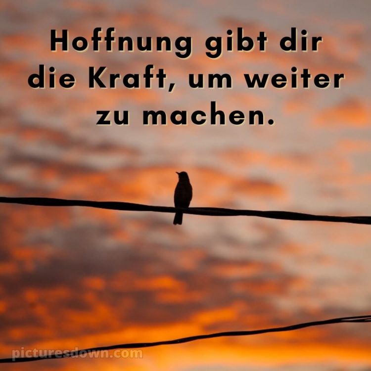 Ich wünsche dir kraft sprüche bild Vogel kostenlos