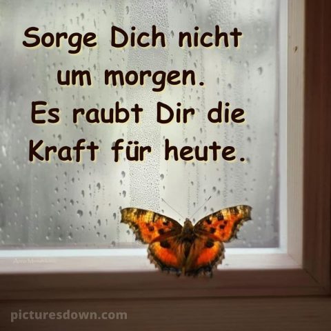 Ich wünsche dir kraft sprüche bild Fenster kostenlos