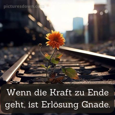 Ich wünsche dir kraft sprüche bild Schienen kostenlos