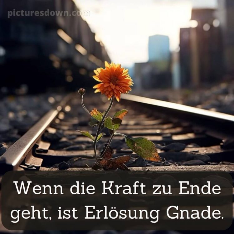 Ich wünsche dir kraft sprüche bild Schienen kostenlos