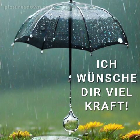 Ich wünsche dir kraft sprüche Regenschirm