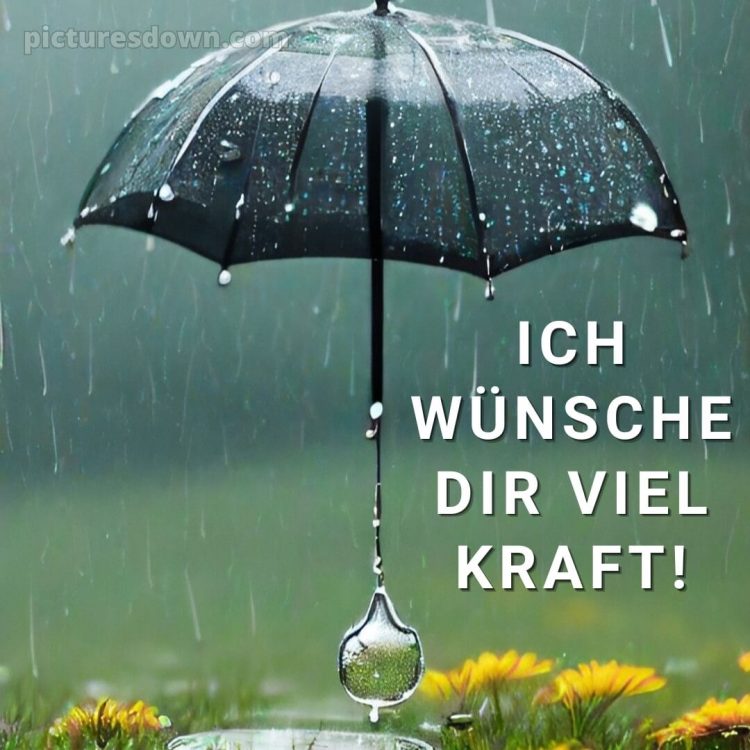 Ich wünsche dir kraft sprüche bild Regenschirm kostenlos