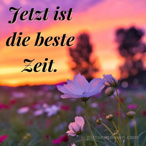 Ich wünsche dir Zeit bild Blumen kostenlos