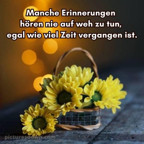 Ich wünsche dir Zeit bild Minikorb kostenlos