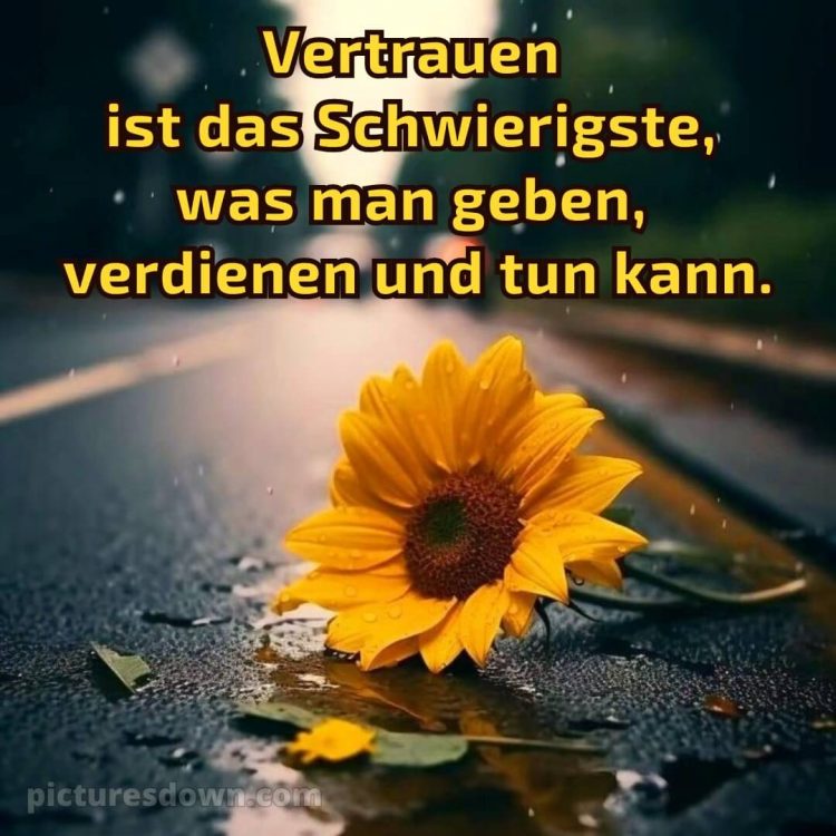 Ich wünsche dir Zeit bild Straße kostenlos