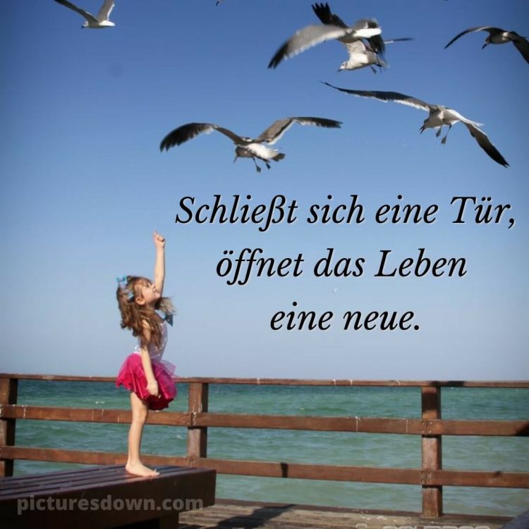 Ich wünsche dir Zeit bild Vögel kostenlos