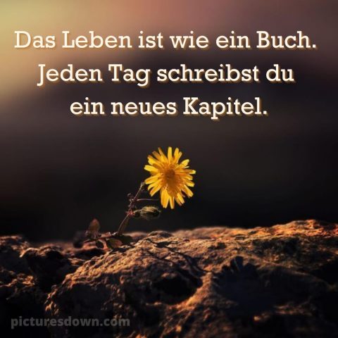 Ich wünsche dir Zeit bild einsame Blume kostenlos