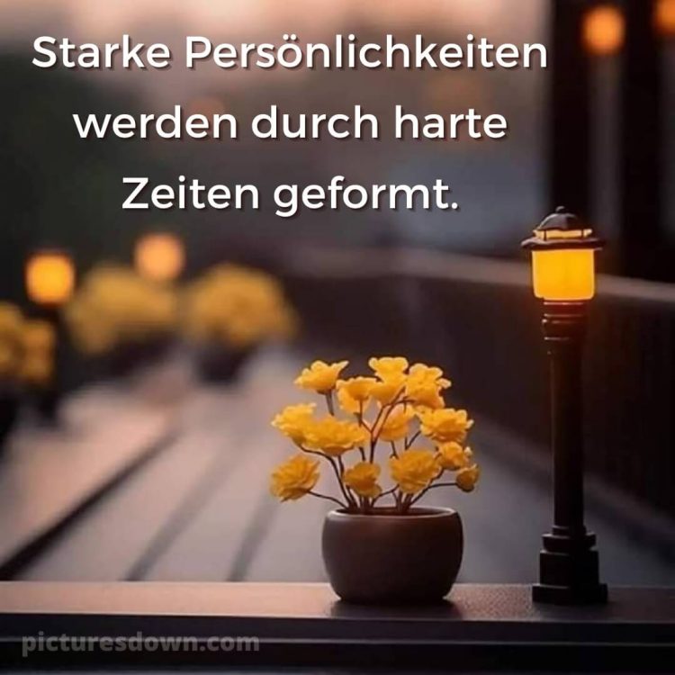 Ich wünsche dir Zeit bild gelbe Blume kostenlos