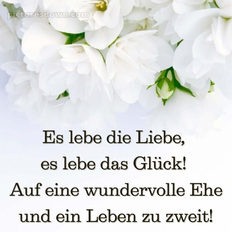 Kurze glückwünsche zur hochzeit kostenlos bild weiße Blumen kostenlos