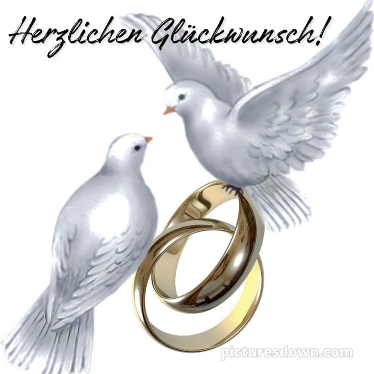 Kurze glückwünsche zur hochzeit kostenlos bild Tauben kostenlos