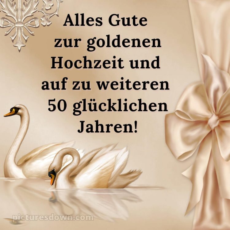 Moderne glückwünsche zur goldenen hochzeit bild zwei Schwäne kostenlos