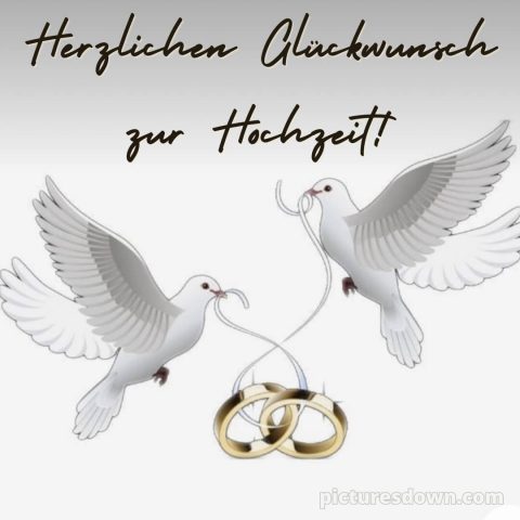 Originelle glückwünsche zur hochzeit bild Vögel kostenlos