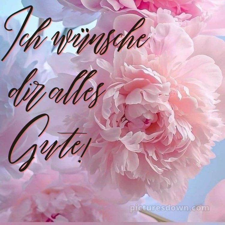 Was ich dir wünsche bild Pfingstrose kostenlos