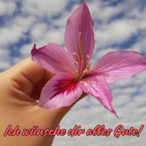 Was ich dir wünsche bild Himmel kostenlos