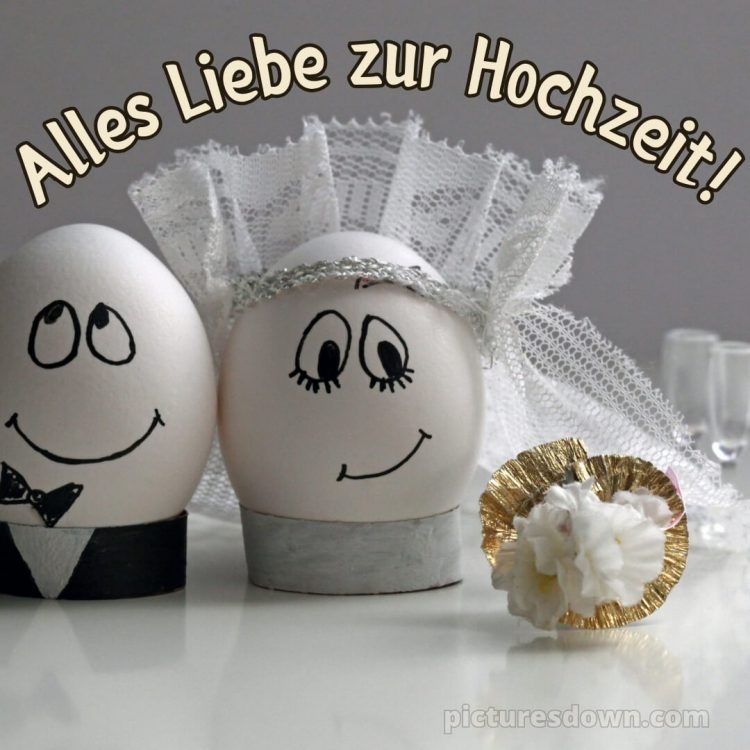 Witzig originelle glückwünsche zur hochzeit bild Eier kostenlos