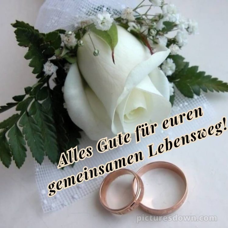 Brautpaar originelle glückwünsche zur hochzeit bild Rose kostenlos