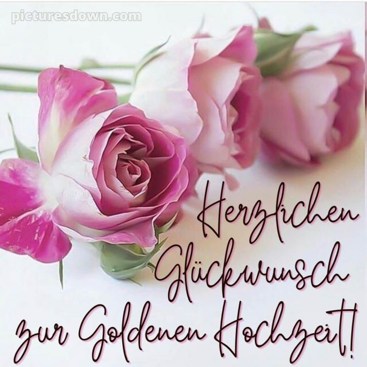 Glückwünsche goldene hochzeit bild drei Rosen kostenlos