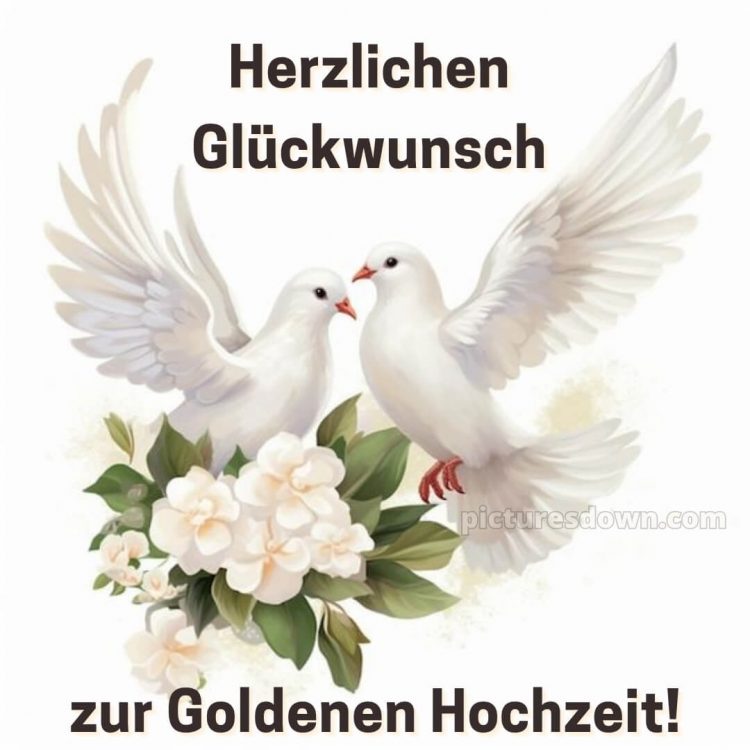 Glückwünsche goldene hochzeit bild Tauben kostenlos