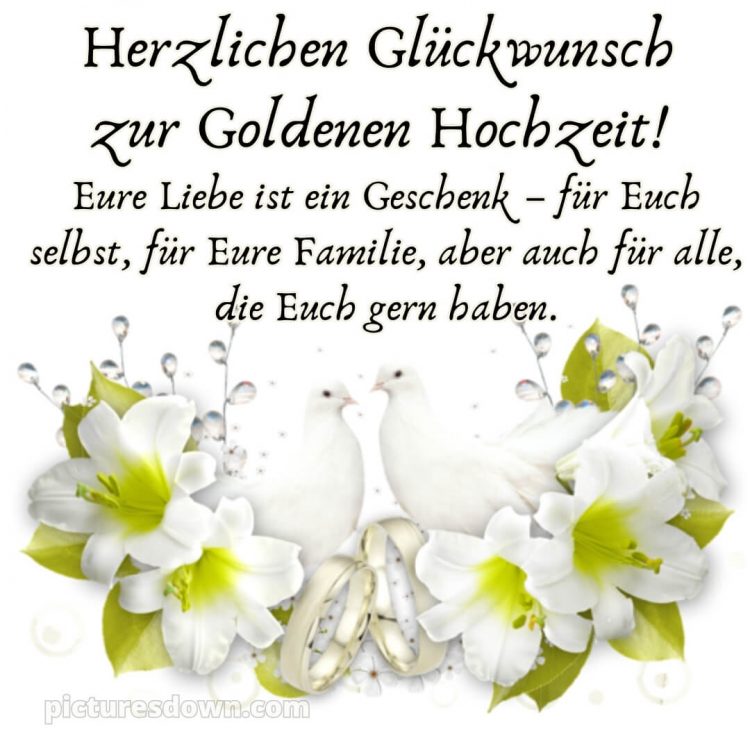 Glückwünsche goldene hochzeit bild zwei Tauben kostenlos