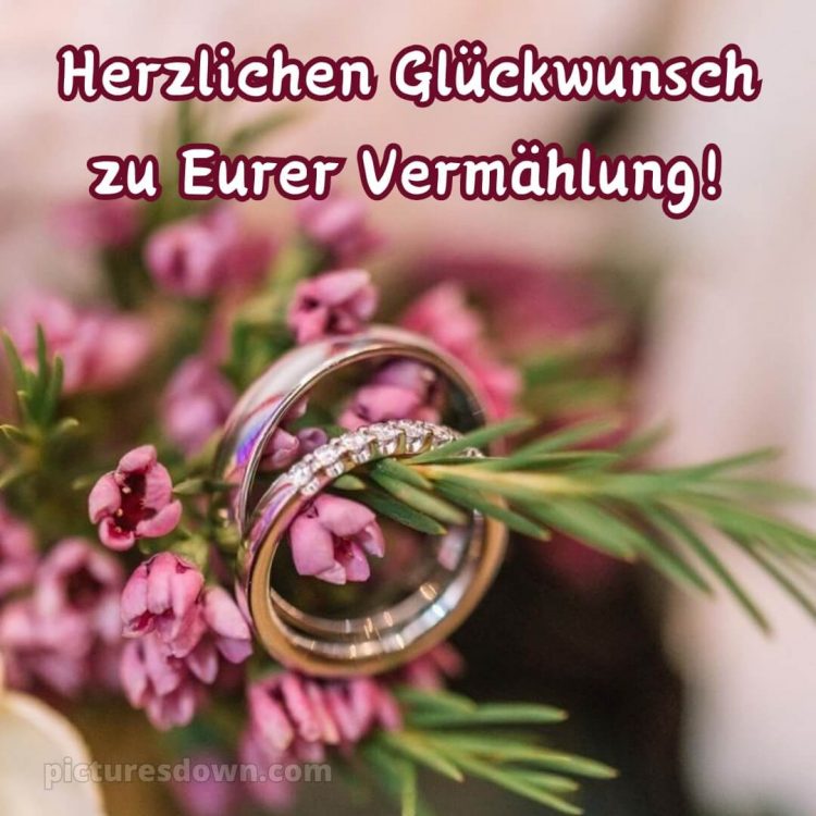 Glückwünsche hochzeit bild Tannenbaumzweig kostenlos