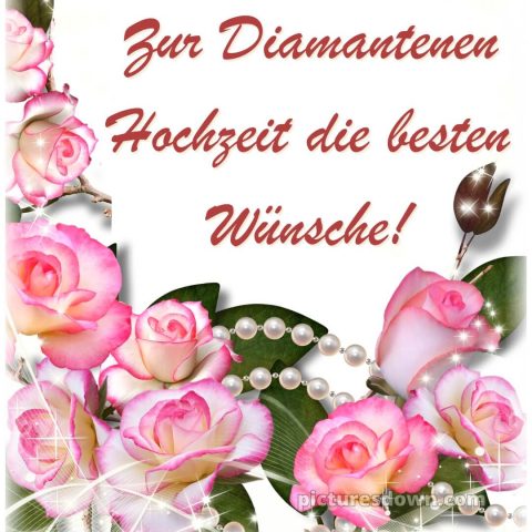 Glückwünsche zur diamantenen hochzeit bild rosa Rosen kostenlos
