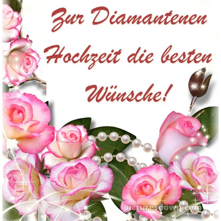 Glückwünsche zur diamantenen hochzeit bild rosa Rosen kostenlos