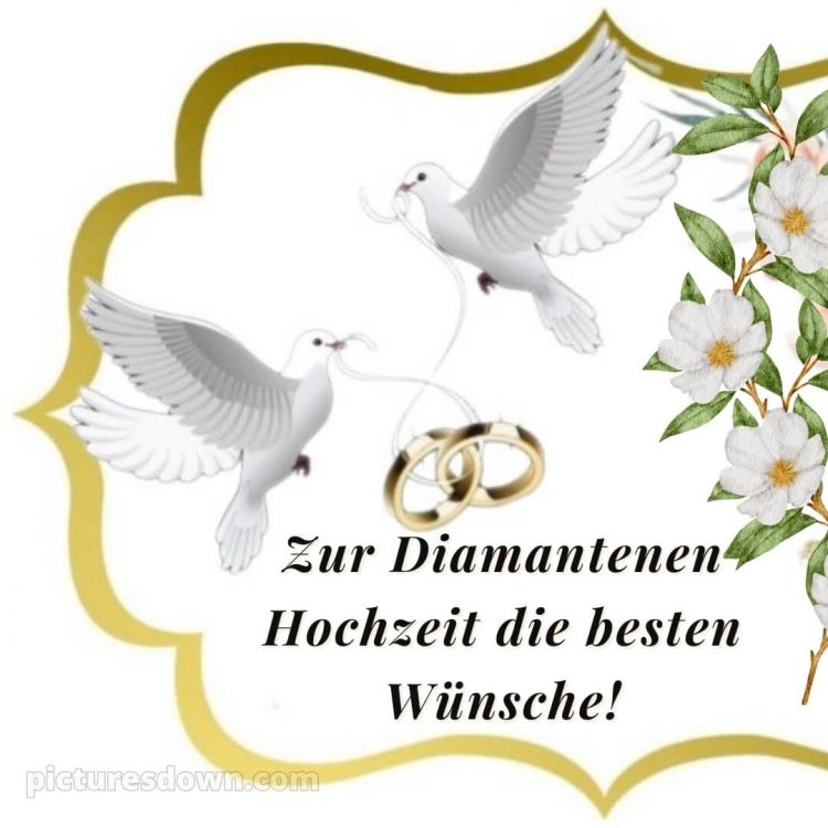 Glückwünsche zur diamantenen hochzeit bild Tauben kostenlos