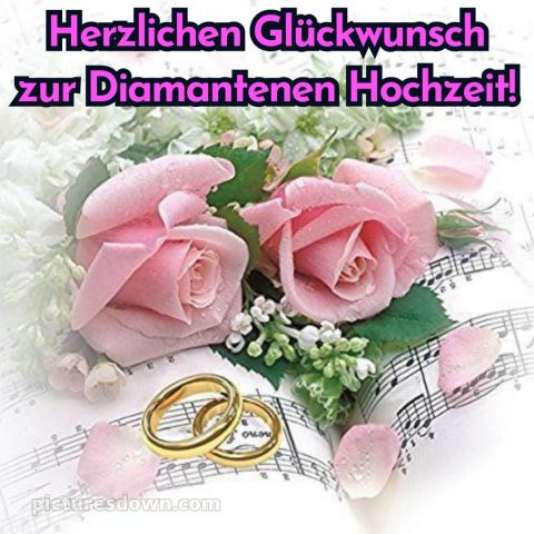 Glückwünsche zur diamantenen hochzeit zum ausdrucken kostenlos bild Rose kostenlos
