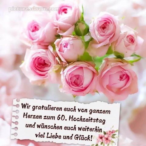 Glückwünsche zur diamantenen hochzeit zum ausdrucken kostenlos bild rosa Blumen kostenlos
