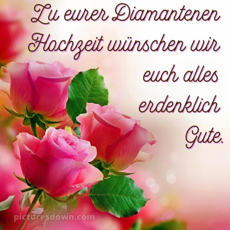 Glückwünsche zur diamantenen hochzeit zum ausdrucken kostenlos bild drei Rosen kostenlos