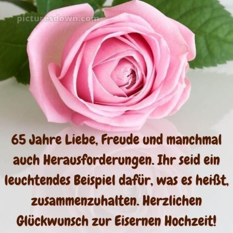 Glückwünsche zur Eisernen Hochzeit bild Rose kostenlos