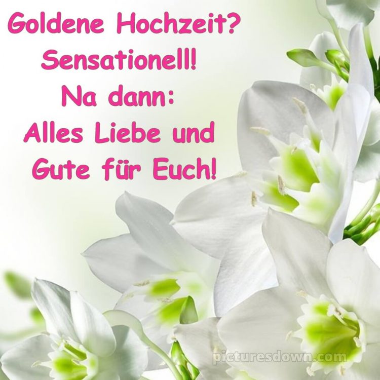 Glückwünsche zur Goldenen Hochzeit bild weiße Blumen kostenlos