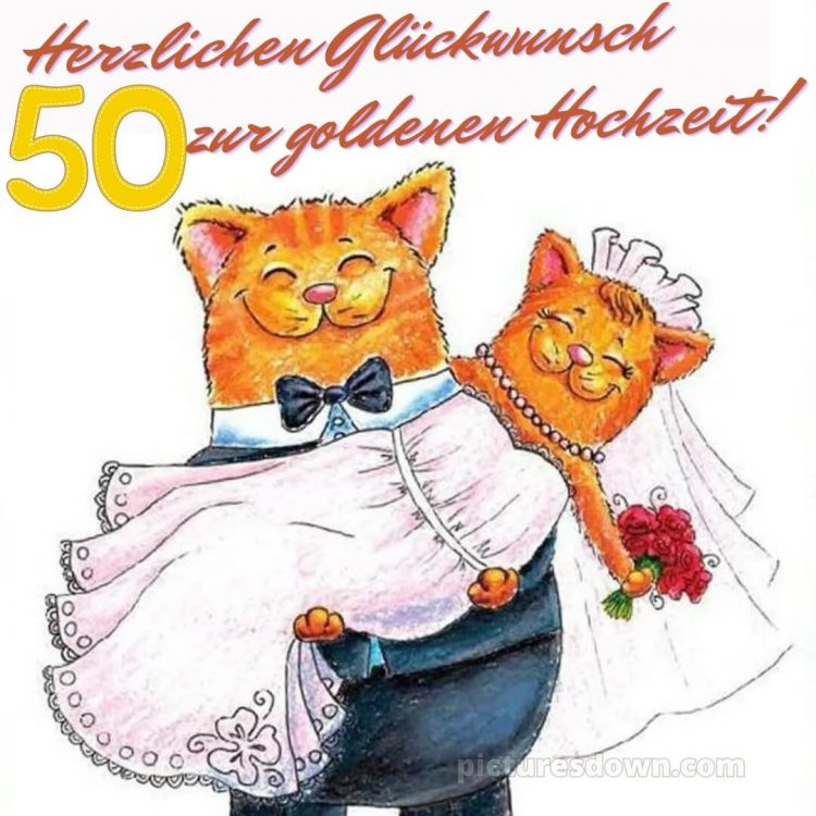 Glückwünsche zur goldenen hochzeit lustig bild Katzen kostenlos