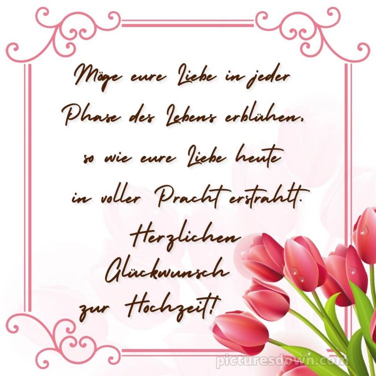 Glückwünsche zur hochzeit bilder bild Tulpen kostenlos