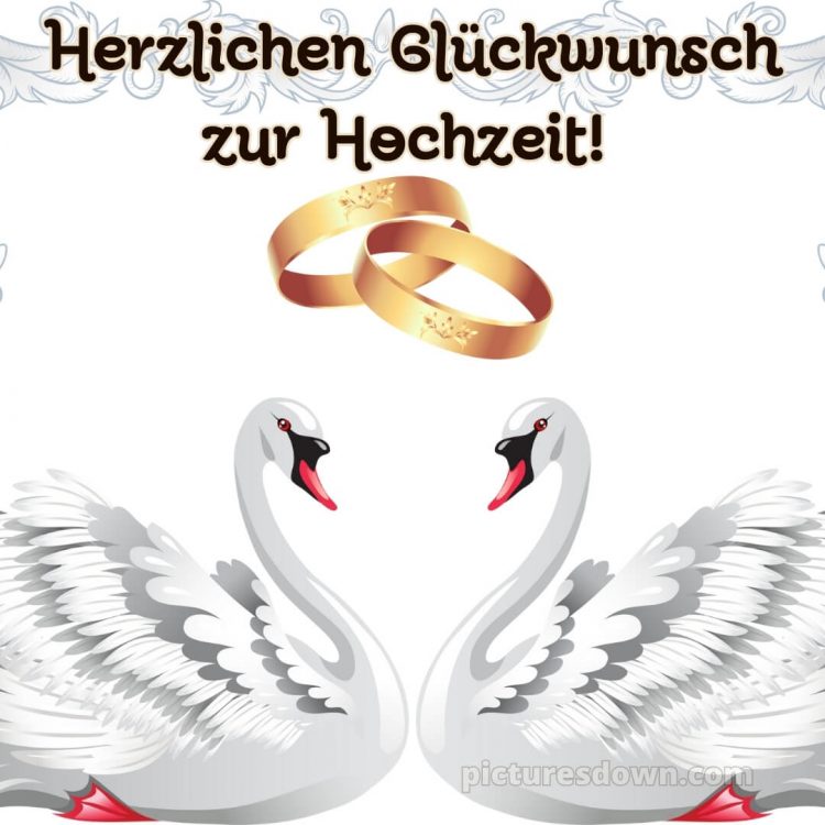 Glückwünsche zur hochzeit karte bild Schwäne kostenlos