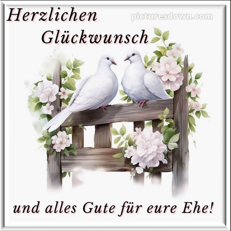 Glückwünsche zur hochzeit karte bild Tauben kostenlos