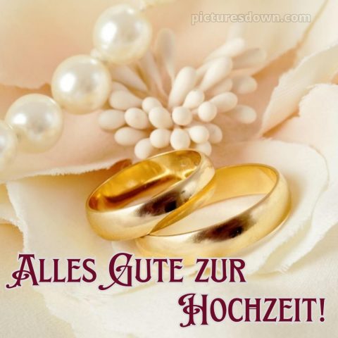 Glückwünsche zur hochzeit kurz bild zwei Ringe kostenlos