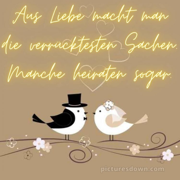 Glückwünsche zur hochzeit lustig bild zwei Vögel kostenlos